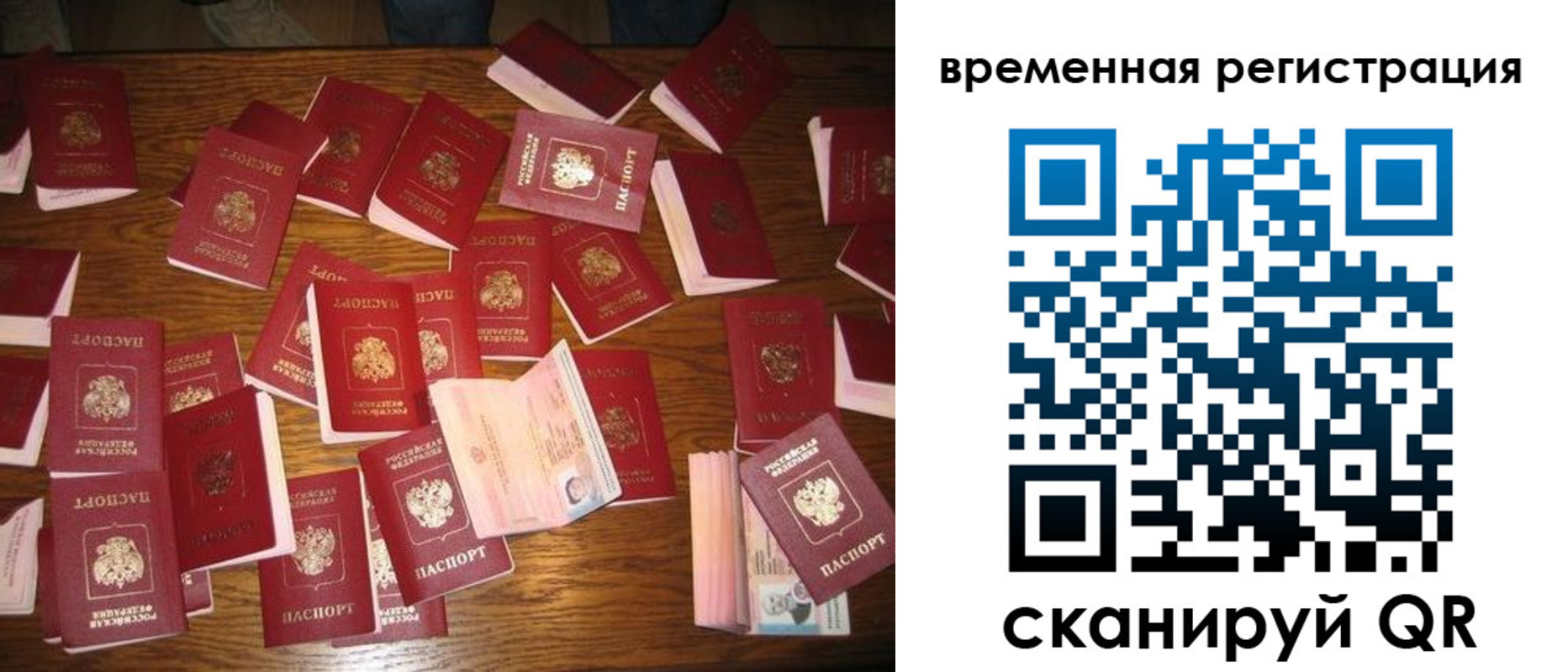 купить прописку в Брянской области